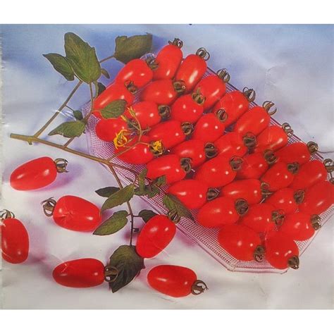Jual Benih Tomat F Cherry Merah Tropical Ruby Bibit Tanaman Sayur