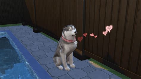 Sims4 Pets Giratan
