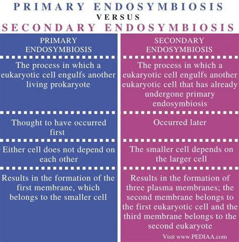 What Is The Difference Between Primary And Secondary Endosymbiosis