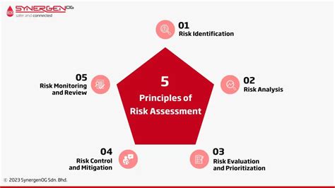 Exploring The 5 Principles Of Risk Assessment In Detail