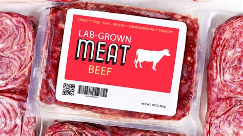 Everything You Need To Know About Cultured Meat