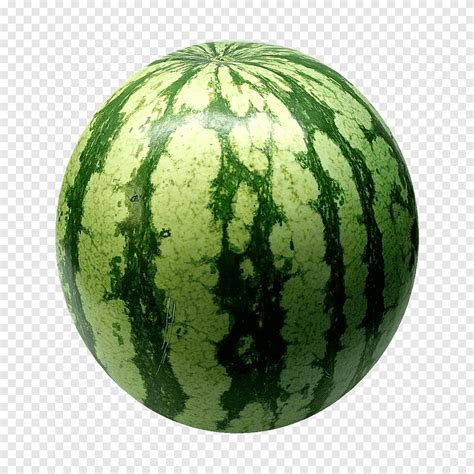 Watermelon Fruit Food Vegetable Watermelon Melon Fruit Nut Png Pngegg