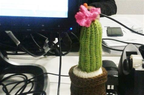 Estás tranquilamente extrayendo tu cactus de la maceta o regando, y no te das cuenta y pero insisto, este tipo de dudas es mucho más recomendable que se las consultes a un especialista. Crónica / Regalar tunitas protege contra las malas vibraciones