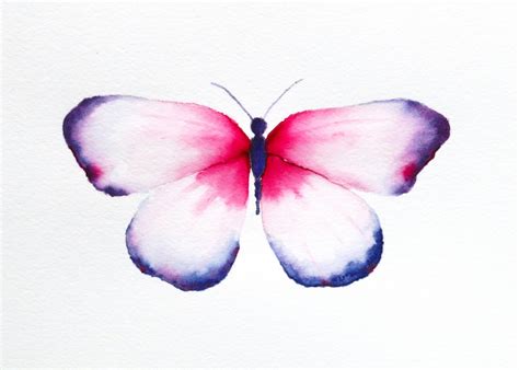 Easy Watercolor Paintings Of Butterflies At Getdrawings Free Download