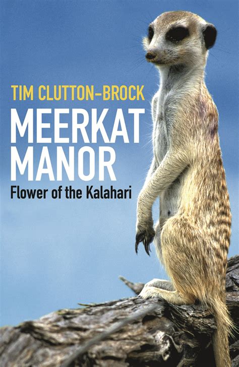Meerkat Manor By Tim Clutton Brock Wandn Ground Breaking Award