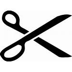 Scissors Shears Cut Tool Sharp Equipment Vector