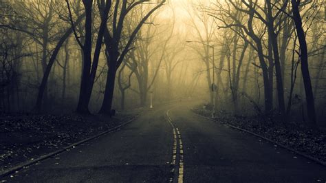Road Forest Spooky Wallpapers Hd Desktop And Mobile