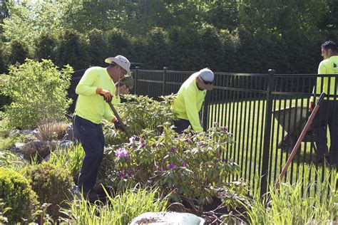 16 Essential Landscaping Skills And Soft Skills Every Landscape Company