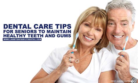 Dental Care Tips For Seniors To Maintain Healthy Teeth And Gums Lambton Family Dental