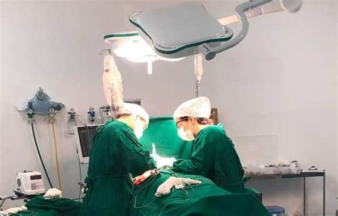 hospital da mulher realiza primeira cirurgia de mastectomia governo do estado de alagoas