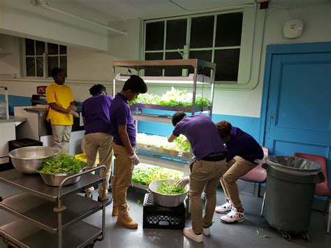 Newark Vocational Students Harvest Vegetables And Herbs They Planted