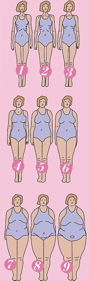 Realistic Female Body Types Chart