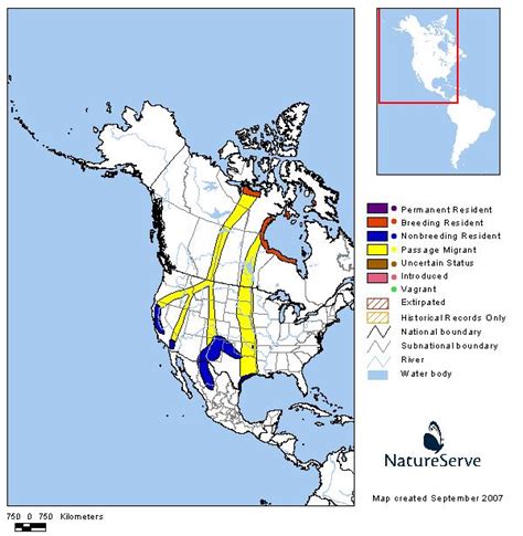 Canada Goose Migration Reports