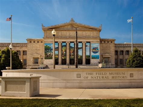 Field Museum Of Natural History Chicago Illinois United States