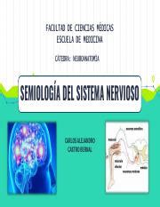 Semiolog A Del Sistema Nervioso Neuroanatom A Pdf Facultad De Ciencias M Dicas Escuela De