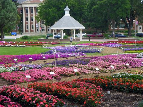 Annual Flower Trial Garden Colorado State University Fort Flickr