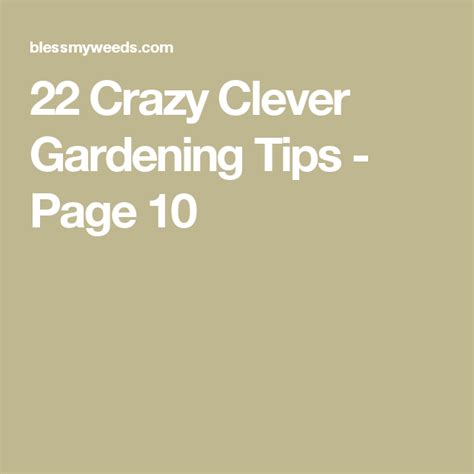 20 Insanely Clever Gardening Tips Garden Tips Garden Blessmyweeds