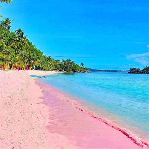 4 Other Pink Beaches In The Philippines You Should Visit Now Preview