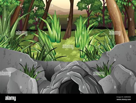 Forest Scene With Trees Around Cave Stock Vector Image And Art Alamy