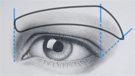 How To Draw A Realistic Eyebrow Rapidfireart