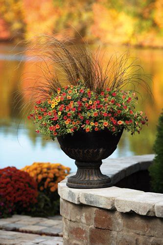 21 Fall Planter Ideas Container Garden Pictures Plants And Tips