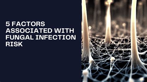 5 Factors Associated With Fungal Infection Risk Au