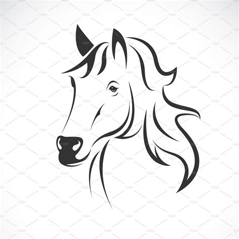 Vector Of Horse Head Design Animal Outline Icons ~ Creative Market
