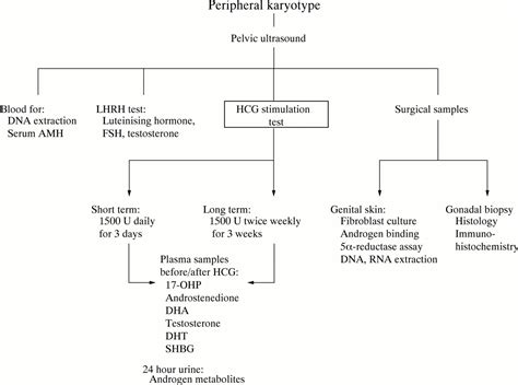 Androgen Insensitivity Syndrome A Survey Of Diagnostic Procedures And