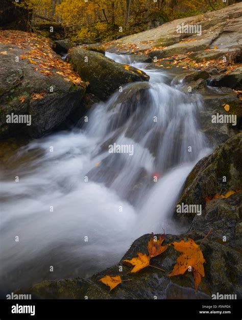 Autumn Cascade At Dark Hollow Falls In Shenandoah National Park Stock