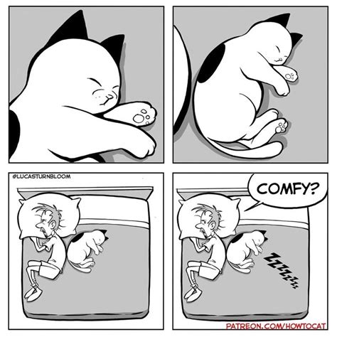 19 Comics That Perfectly Capture The Absurdity Of Cat Logic In 2020