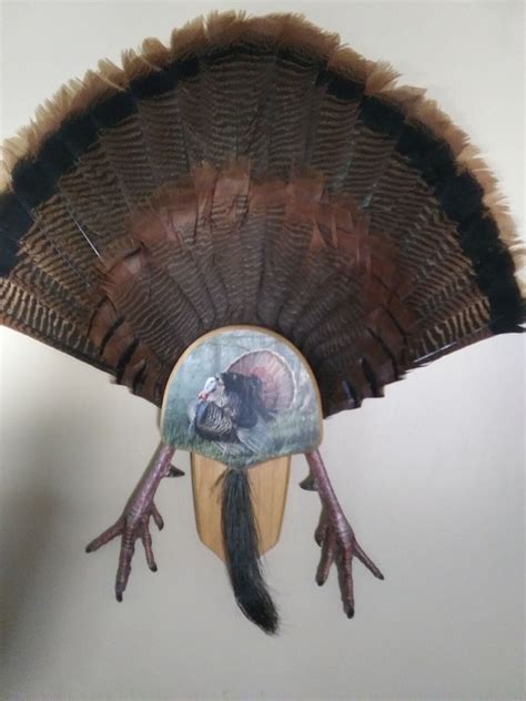 walnut hollow country solid oak king of spring turkey fan mounting kit brown 46308407073 ebay