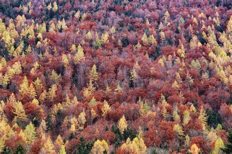 Austria Autumn Colours Stock Image Image Of Mountain 67630247