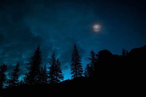 Night Forest Photos Download The Best Free Night Forest Stock Photos