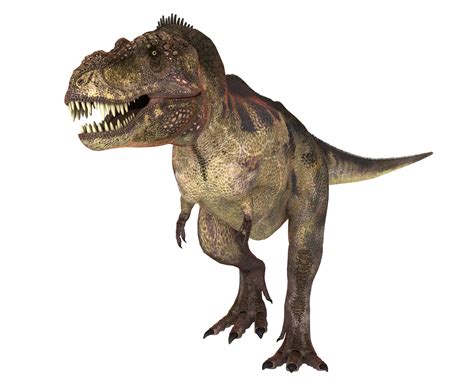 Actualizar 62 Imagem Sobre O Dinossauro Rex Vn