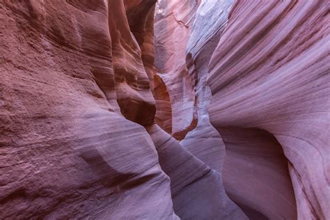 ‘probably Shouldnt Have Been In This Canyon Hikers Rescued After One