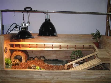 Click This Image To Show The Full Size Version Tortoise Terrarium
