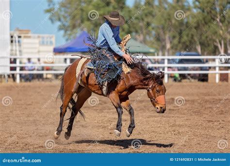 Bucking Bronco Horse At Country Rodeo Editorial Photo Image Of