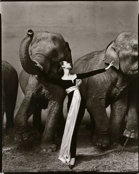Dovima With Elephants Evening Dress By Dior Cirque Dhiver Paris
