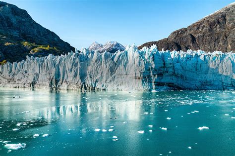 12 Can You See Whales From A Cruise Ship In Alaska Updated Can You