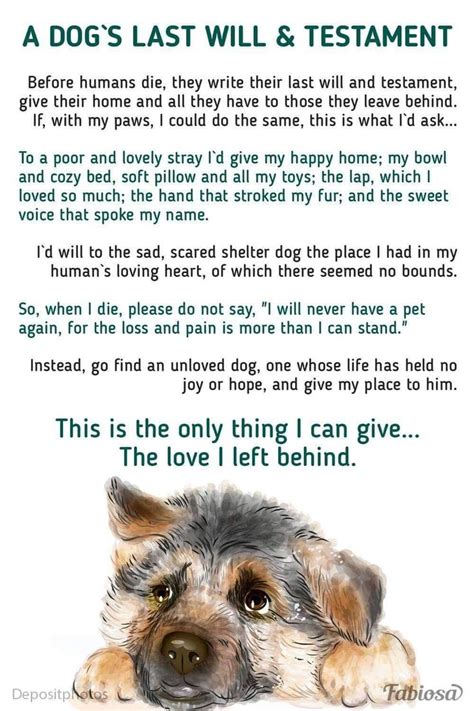 Pin By Martha Adams On Grief Dog Emotions Dog Poems Dog Quotes Love