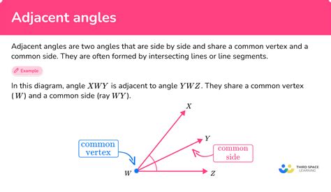 Adjacent Angles Math Steps Examples And Questions