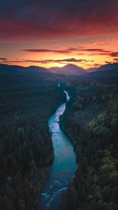 Morning View River Forest Iphone Wallpaper Free Getintopik Iphone