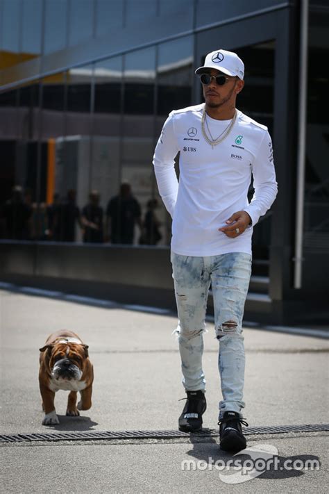 Jun 05, 2021 · entlaufener hund nach einem jahr wiedergefunden video: Lewis Hamilton, Mercedes AMG F1, mit Hund Roscoe bei ...