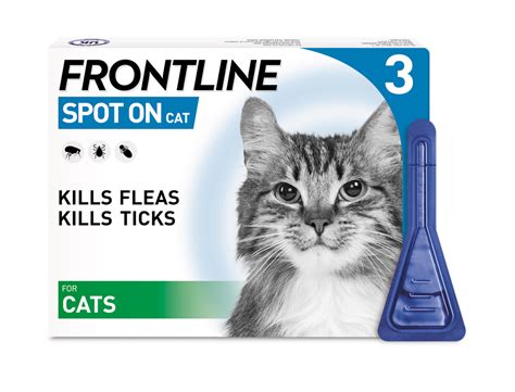 Flea Powder For Cats Uk Cat Meme Stock Pictures And Photos