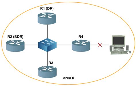 Ospf Protocol Open Shortest Path First Protocol Javatpoint