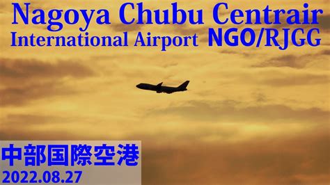 Ngorjgg Plane Spotting At Nagoya Chubu Centrair International