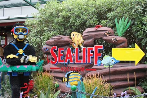 Sea Life Aquarium Carlsbad California Carlsbad California