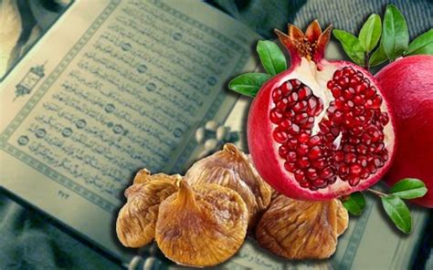 Buah Buahan Yang Disebut Dalam Al Quran Iluminasi