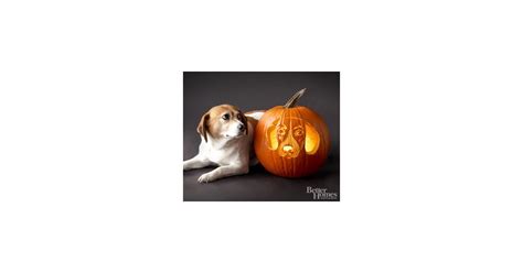 Beagle Downloadable Dog Breed Pumpkin Stencils