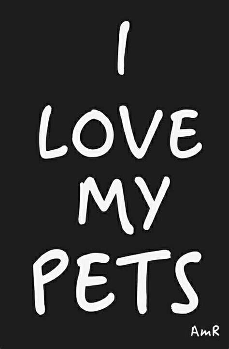 I Love My Pets Pets Animal Lover Love